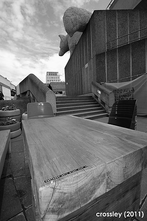 DSC_0311bw1k
