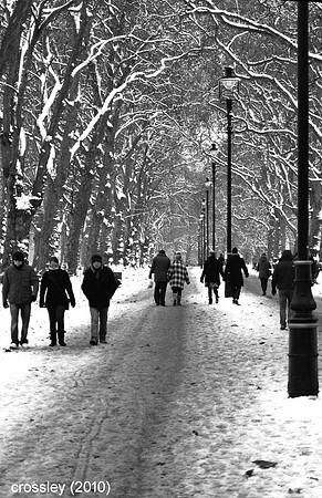 DSC_0520bw1k