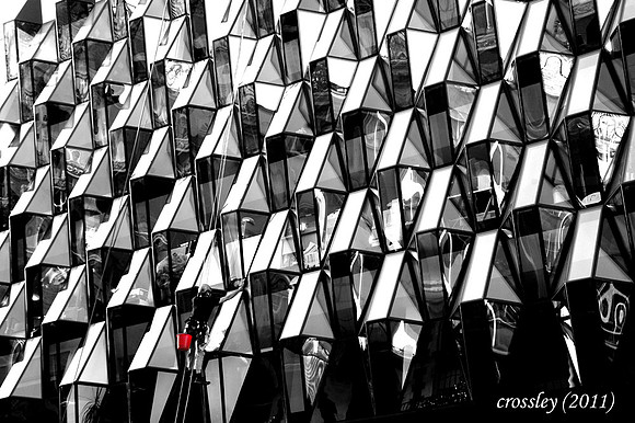 DSC_0675bwcol1k
