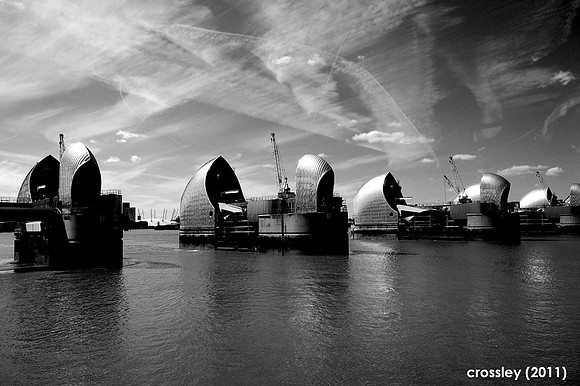 DSC_0079bw1k