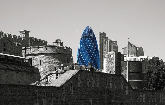 calgherkin645