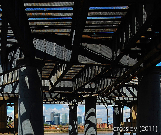 DSC_1006crpsq1k