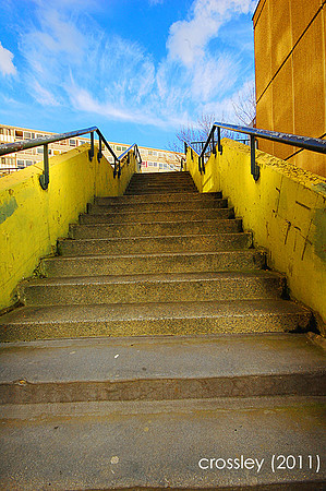 DSC_1272unshu1k