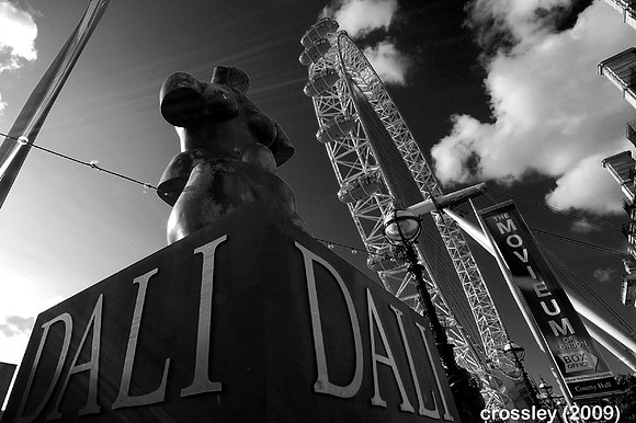 DSC_0516bwcrp1k
