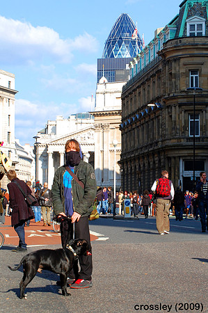 DSC_0799_1k