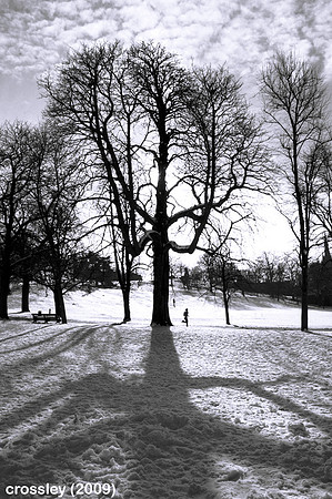 DSC_0958bweq1k