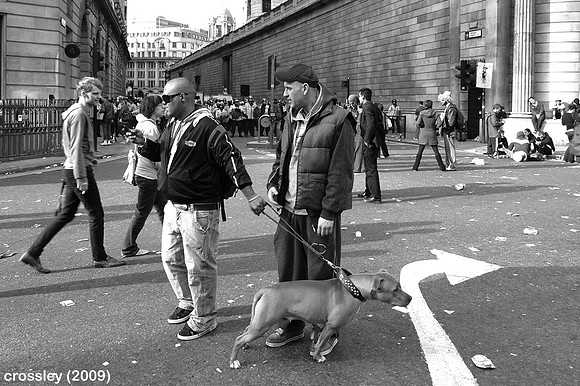 DSC_0898bw1k
