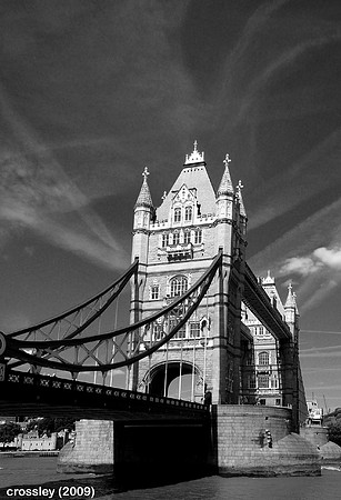 DSC_0388bw1k