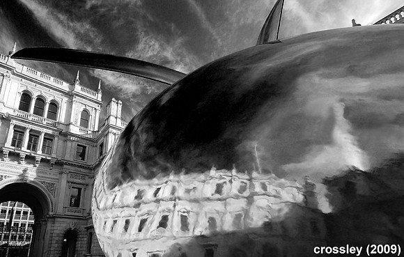 DSC_1538bw1k