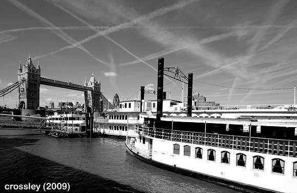 DSC_0408bw1k