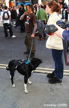 DSC_0588pt1k