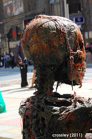 DSC_0372crp1k