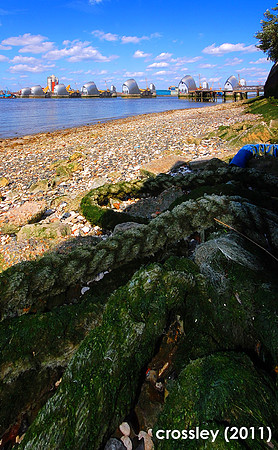 DSC_0071hu1k