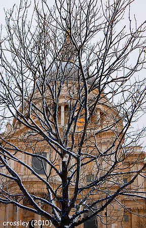 DSC_0663crpunshu1k