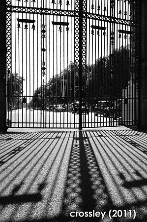 DSC_0514bw1k