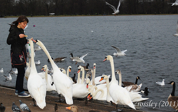 DSC_1074_1k