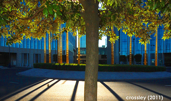 DSC_0865crp1k