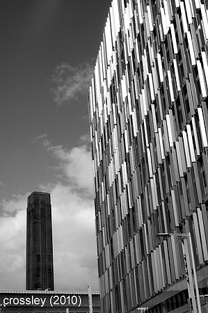 DSC_2239bw1k