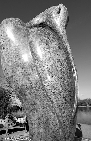 DSC_1129bw1k